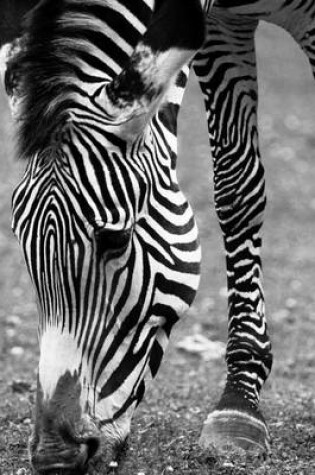 Cover of Black and White Zebra Grazing, for the Love of Animals