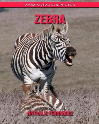 Book cover for Zebra