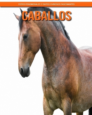 Book cover for Caballos