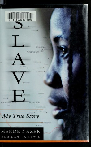 Book cover for Slave