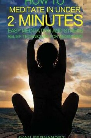 Cover of How to Meditate in Under 2 Minutes