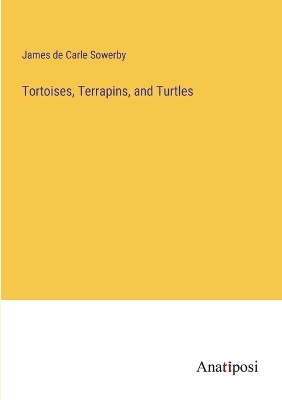 Book cover for Tortoises, Terrapins, and Turtles