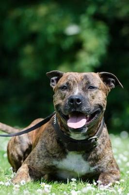 Book cover for Cute Pit Bull Resting in the Grass After Walk Journal