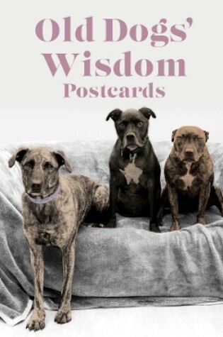 Cover of Old Dog Wisdom Postcards