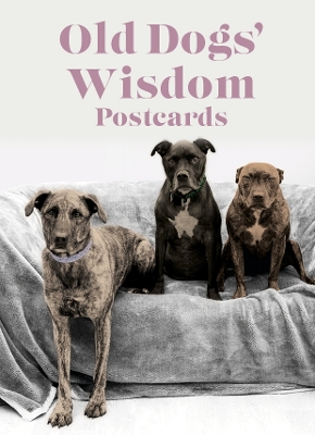 Book cover for Old Dog Wisdom Postcards