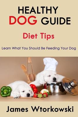 Book cover for Healthy Dog Guide