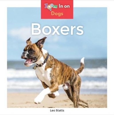 Cover of Boxers