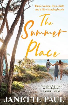 Book cover for The Summer Place