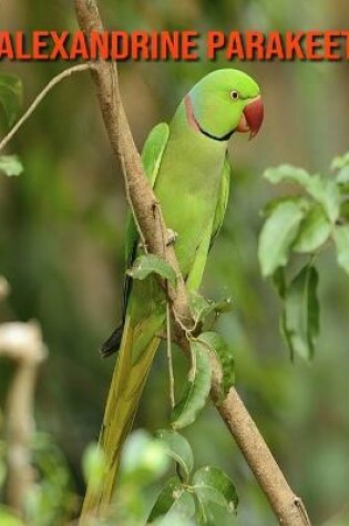 Cover of Alexandrine Parakeet