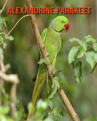 Book cover for Alexandrine Parakeet