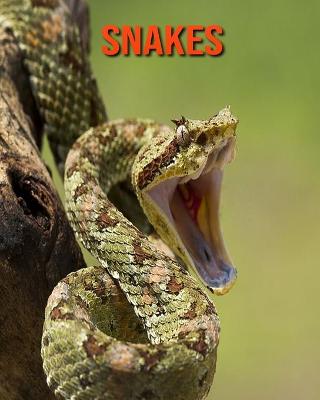 Book cover for Snakes