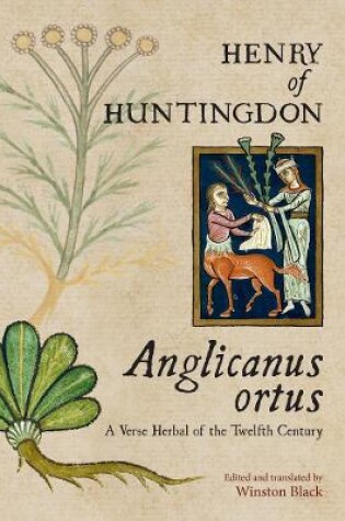 Cover of Anglicanus ortus