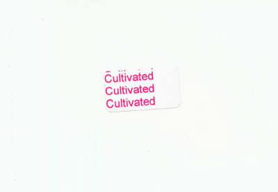 Book cover for Cultivated