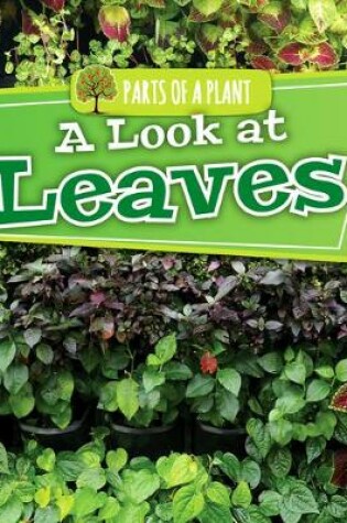 Cover of A Look at Leaves