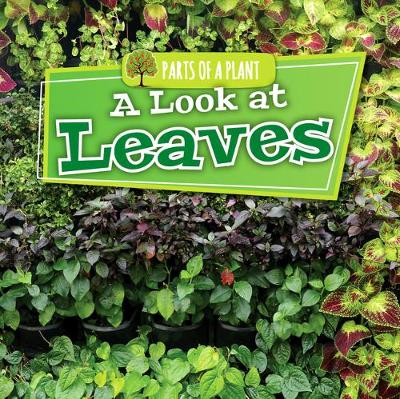 Book cover for A Look at Leaves