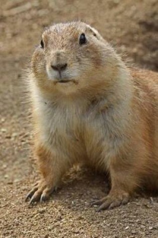 Cover of Prairie Dog Journal