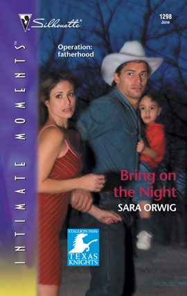 Book cover for Bring on the Night