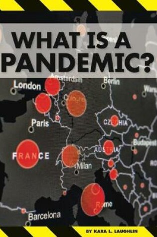 Cover of What Is a Pandemic?