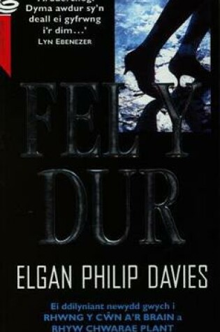 Cover of Fel y Dur