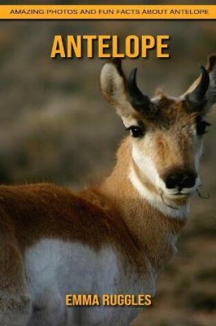 Cover of Antelope