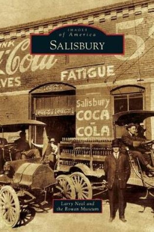 Cover of Salisbury