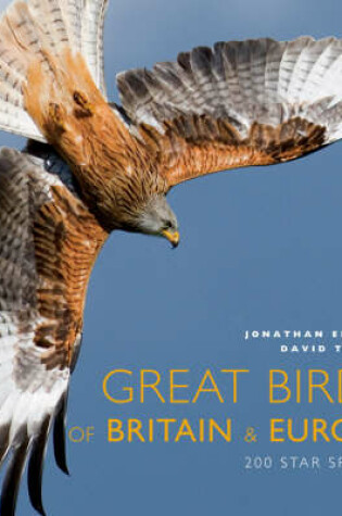 Cover of Great Birds of Europe