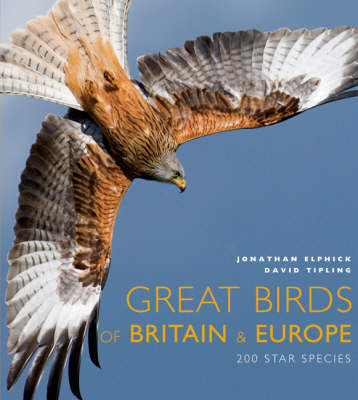 Book cover for Great Birds of Europe