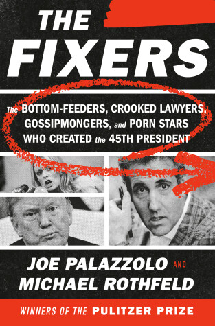 Cover of The Fixers