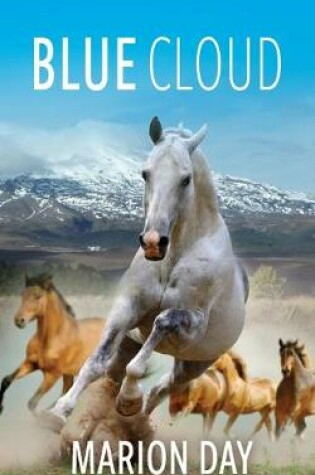 Cover of Blue Cloud