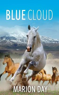 Book cover for Blue Cloud