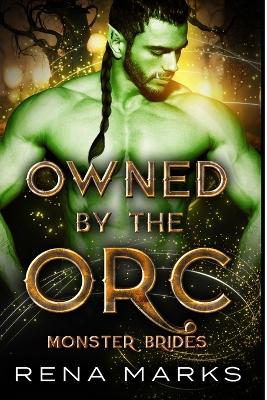 Book cover for Owned By The Orc