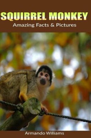 Cover of Squirrel Monkey