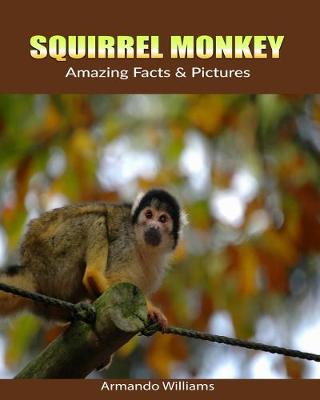 Cover of Squirrel Monkey