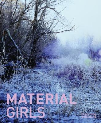 Book cover for Material Girls