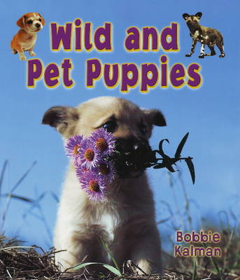 Book cover for Wild and Pet Puppies