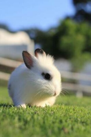 Cover of A Tiny White Baby Bunny Rabbit Journal