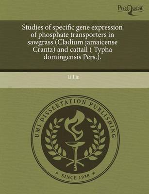 Book cover for Studies of Specific Gene Expression of Phosphate Transporters in Sawgrass (Cladium Jamaicense Crantz) and Cattail ( Typha Domingensis Pers.)