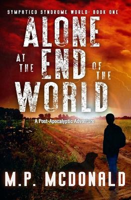 Book cover for Alone at the End of the World