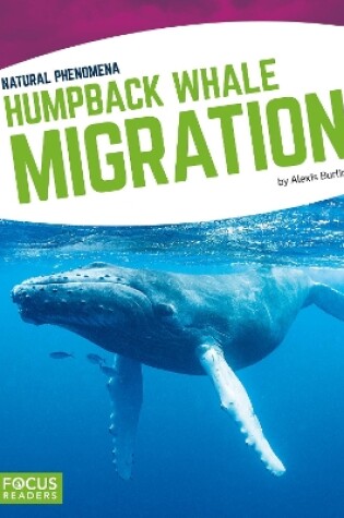 Cover of Natural Phenomena: Humpback Whale Migration