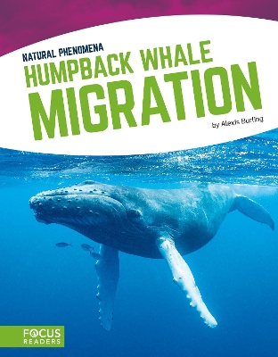 Book cover for Humpback Whale Migration