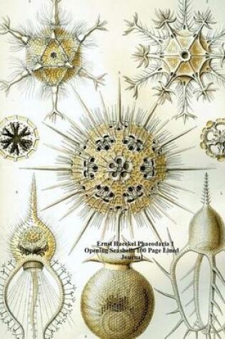 Cover of Ernst Haeckel Phaeodaria 1 Opening Seashells 100 Page Lined Journal