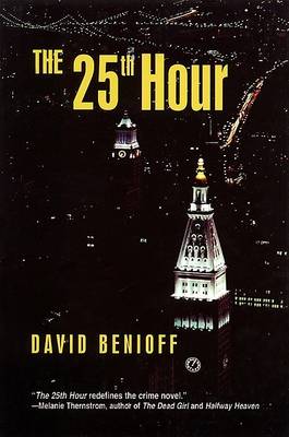 Book cover for The Twenty-Fifth Hour