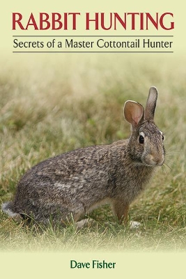 Book cover for Rabbit Hunting