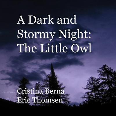 Book cover for A Dark and Stormy Night