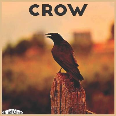 Book cover for Crow 2021 Wall Calendar