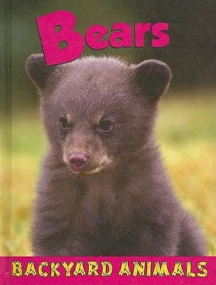 Cover of Bears