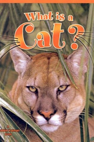 Cover of What Is a Cat?