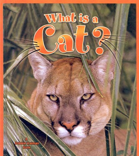 Cover of What Is a Cat?