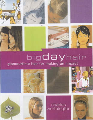 Cover of Big Day Hair