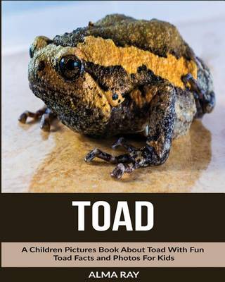 Book cover for Toad